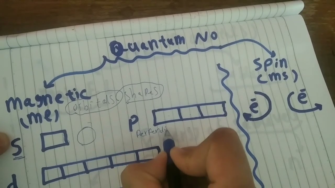 أسهل طريقة لفهم أعداد الكم quantum numbers للصف الثاني الثانوي
