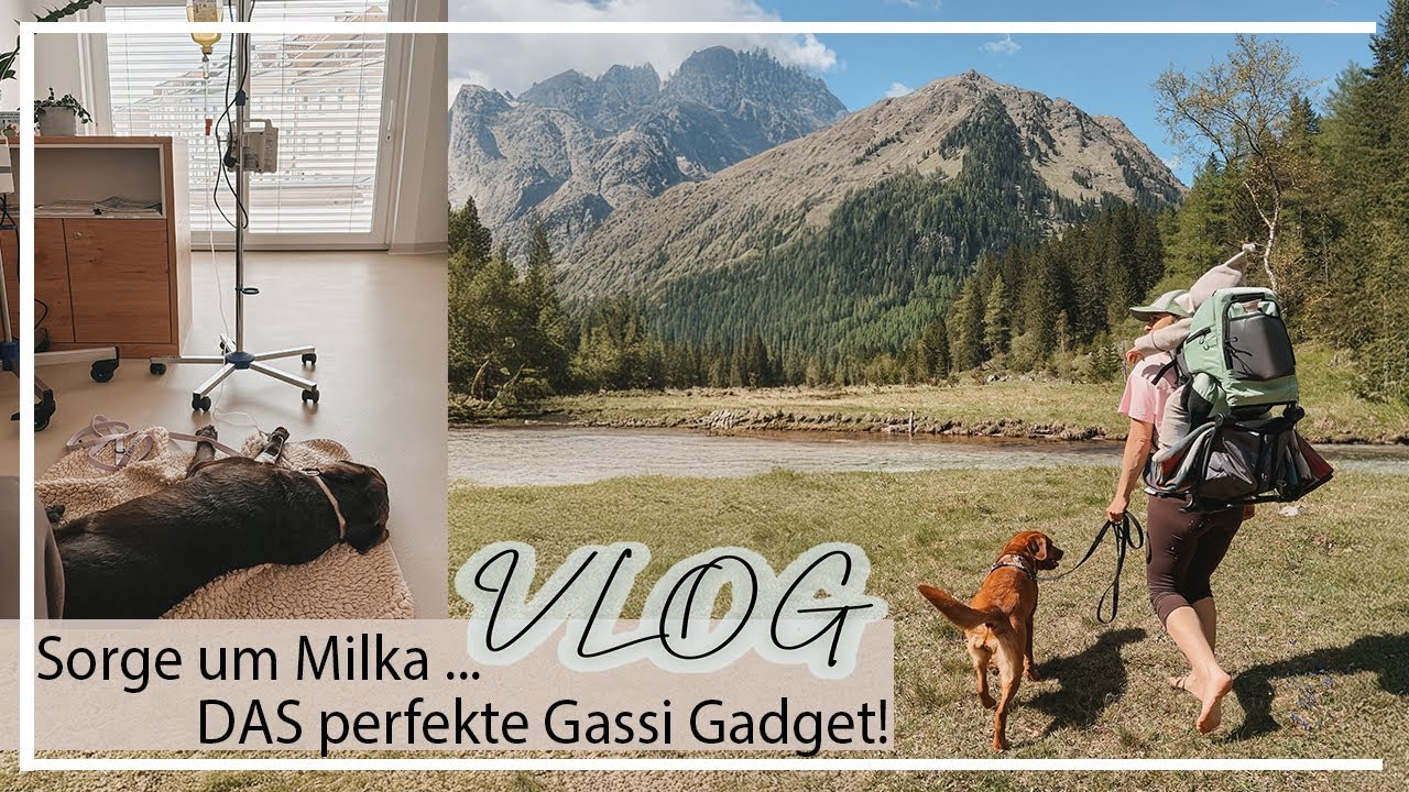 Plötzliche Sorgen um Milka | unser neues Gasssi Gadget | Labrador Family | KaroLovesMilka
