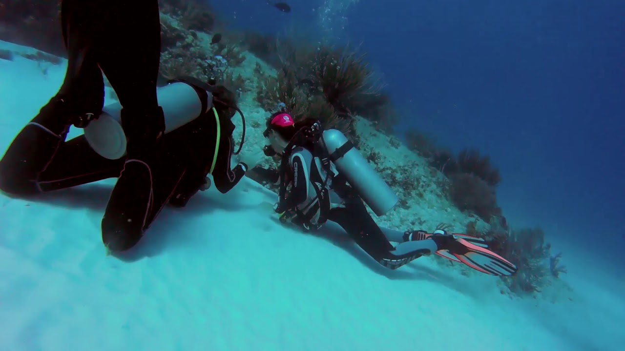 Scuba Diving  - Playa del Carmen  Mexico