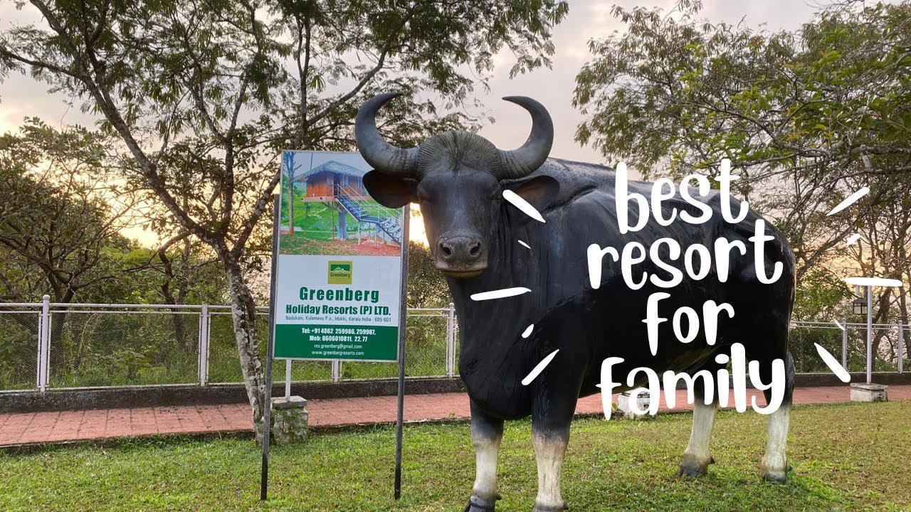 Cheap and best resort for family in Idukki Kerala |Greenberg Resort|