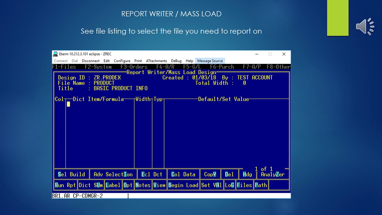 Epicor Eclipse ERP ETerm Report Writer / Mass Load Tool