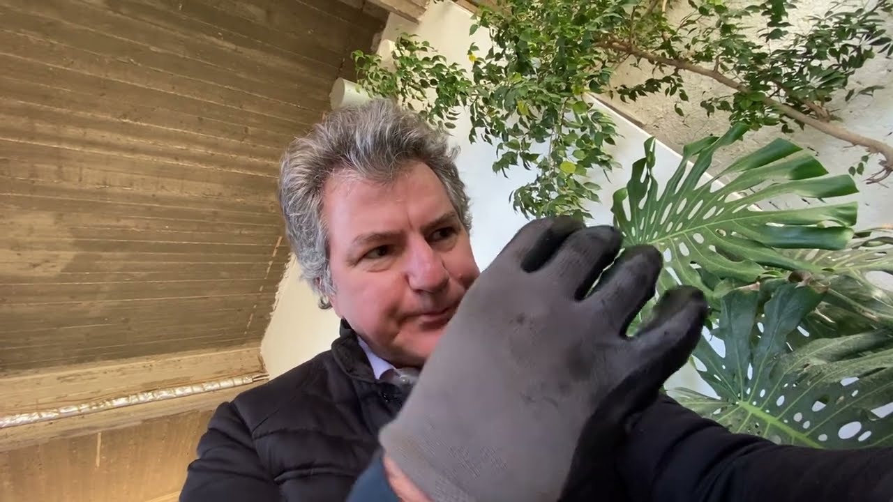 Classic Fiat 500 Ignition Timing - old car #fiat500 #ignitiontiming