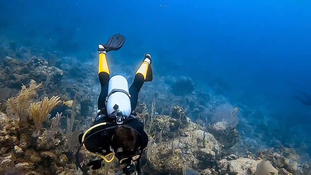 Sandals Royal Bahamian Scuba Diving with Sharks!