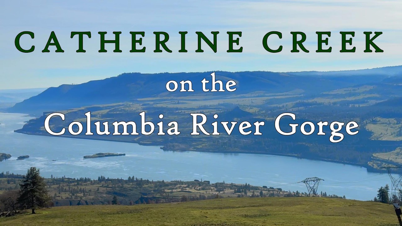 Buzzin' Along Catherine Creek on the Columbia River Gorge