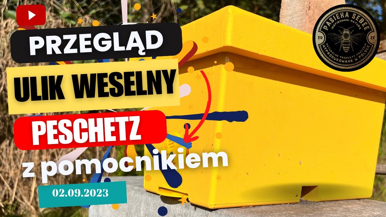 02.09: Przegląd z małym pomocnikiem Ulika Weselnego z Matką CARNICA PESCHETZ - Pasieka SeBee