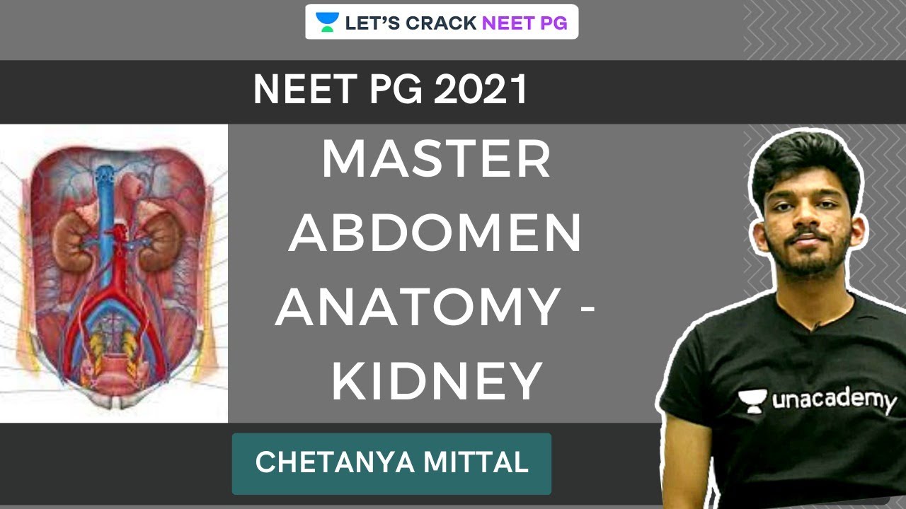 Master Abdomen Anatomy - Kidney | Chetanya Mittal