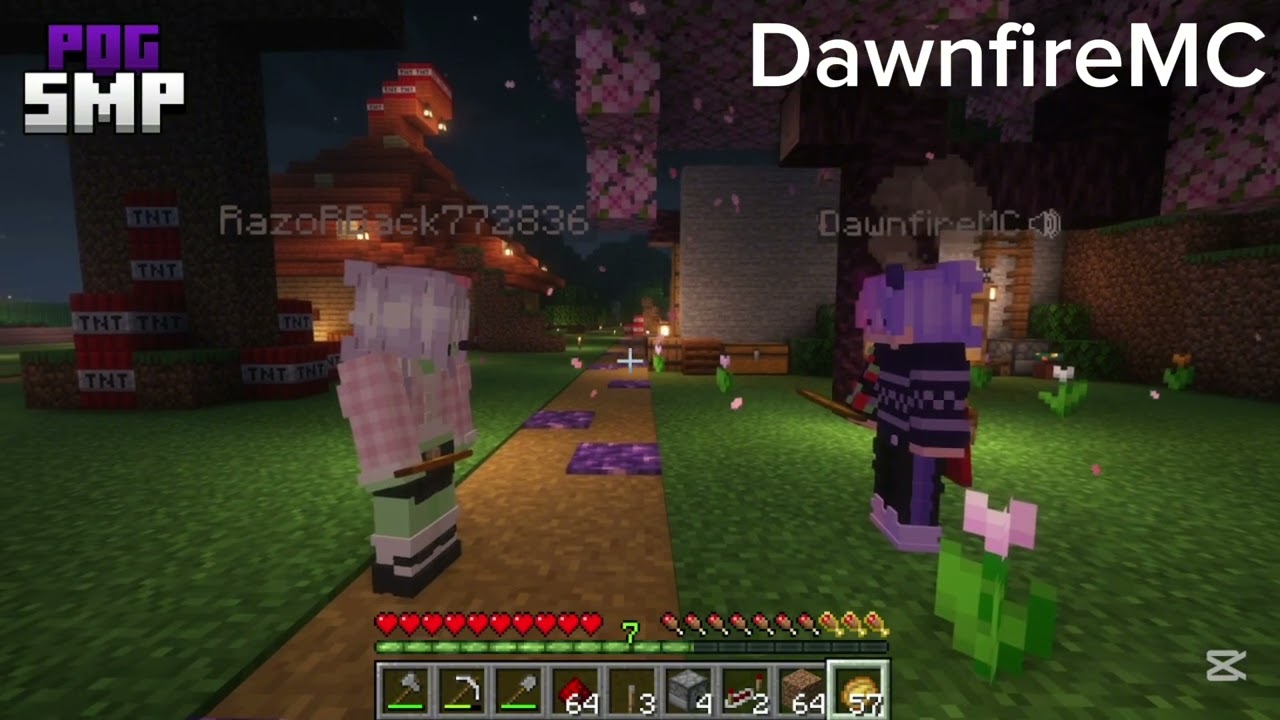 @LightBytes / Dawn Rose Interview | PogSMP