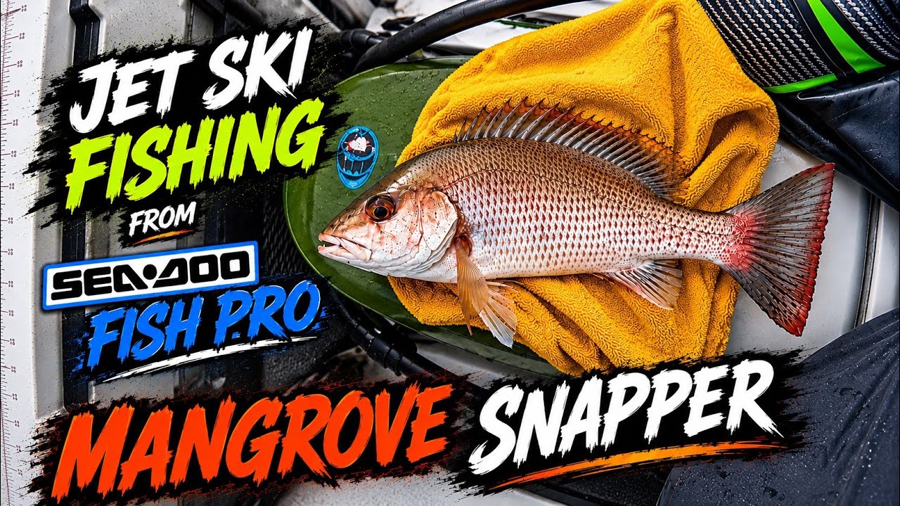 Jet Ski Snapper Fishing in Miami, Florida from Sea-Doo Fish Pro  - Mangrove Grey Snapper  - EP 23