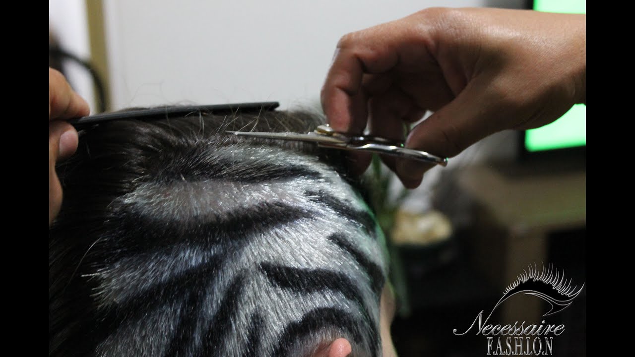 Zebra Hair - Cabelo Animal Print!