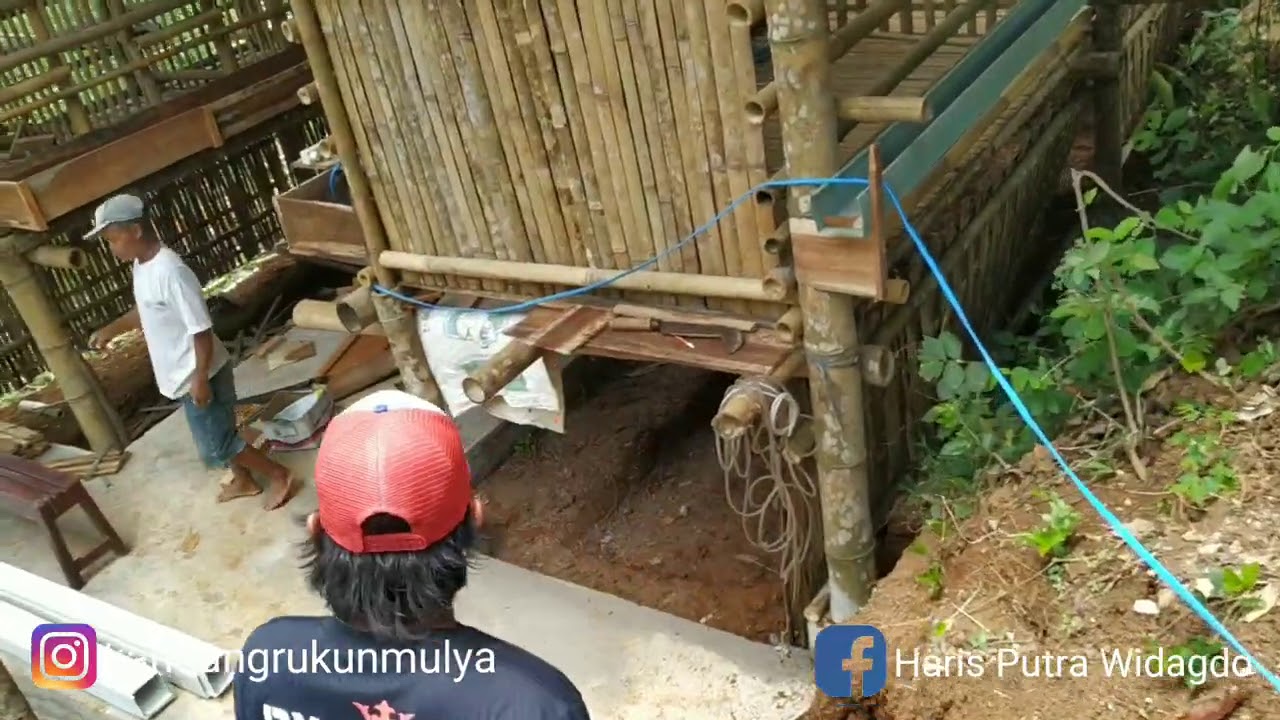 Kandang Kambing Kapasitas 40 Ekor Full Breeding Milik Bapak Markus / Pak Sutarjo Karanganyar