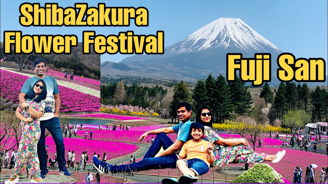 Fuji Shibazakura Festival 2022 in Japan I Mt.Fuji Awesome View I 4K I 富士山 I芝桜 I富士芝桜まつりI Mount Fuji