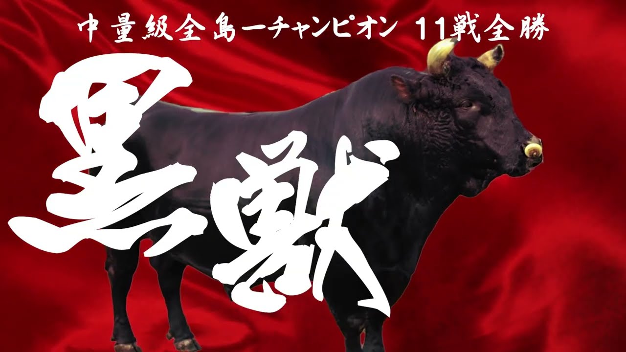 第11回夏の全島闘牛大会煽り映像