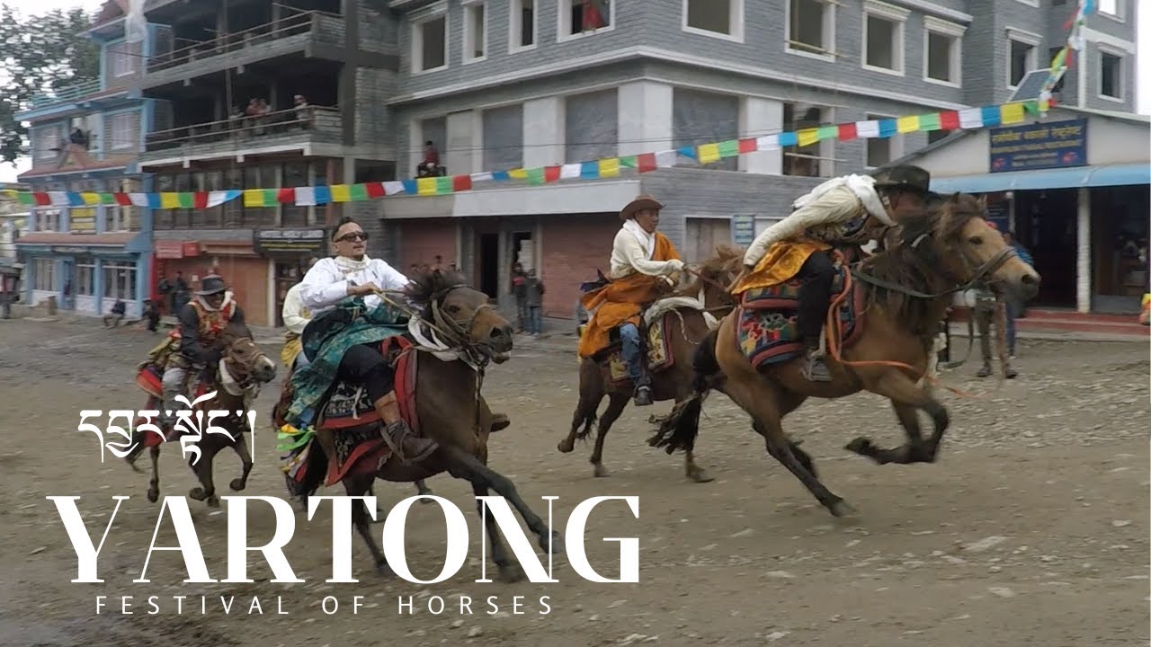 དབྱར་སྟོང་། YARTONGII FESTIVAL OF HORSES