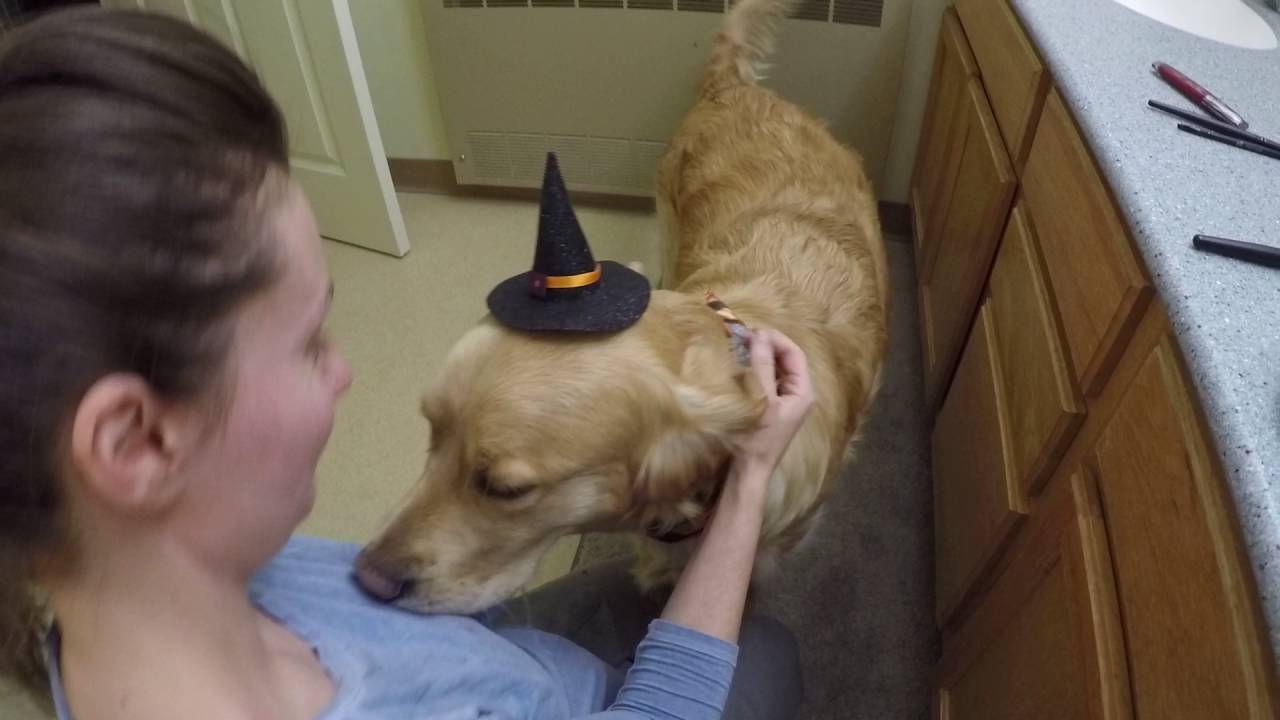 Halloween Makeup Tutorial