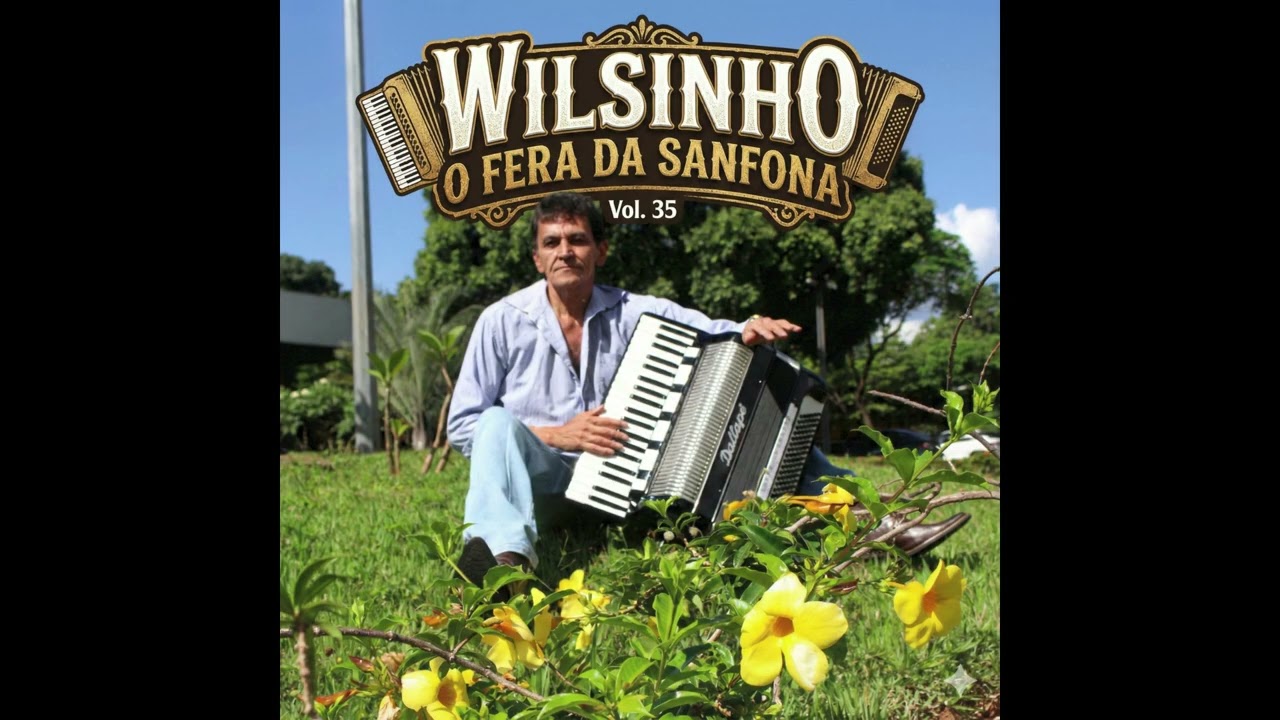 Wilsinho o fera da Sanfona - A caminho da festa