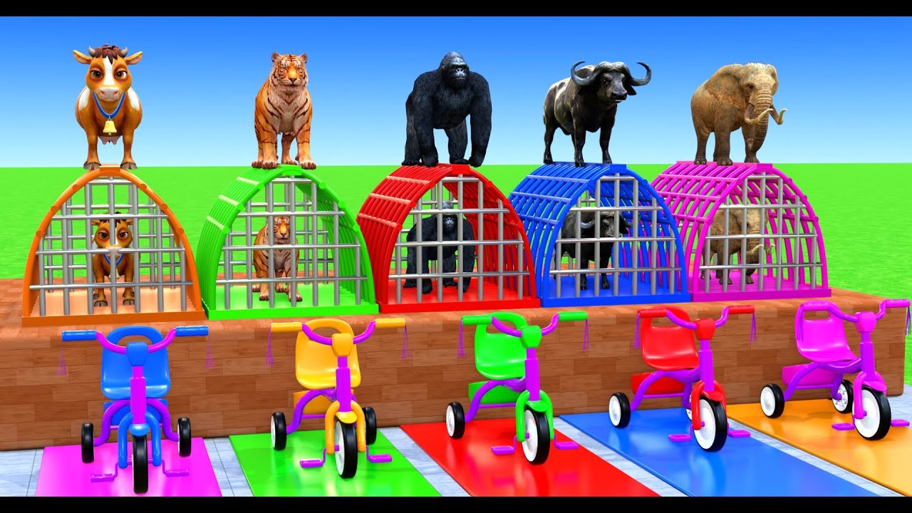 Long Slide Game with Cow Elephant Gorilla Hippopotamus Tiger 3d Animal Game Funny 3d Animals