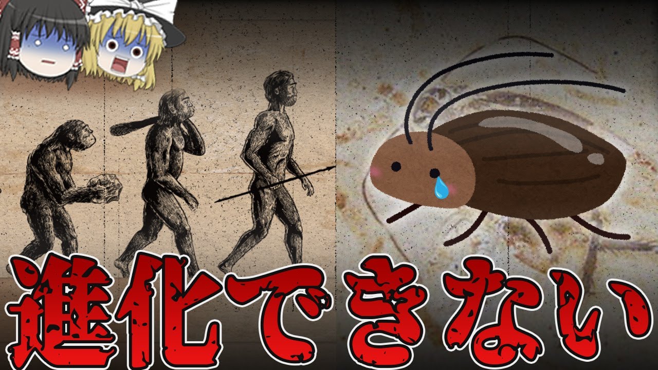 【不遇】ゴキブリが進化できない理由に涙が止まらない…