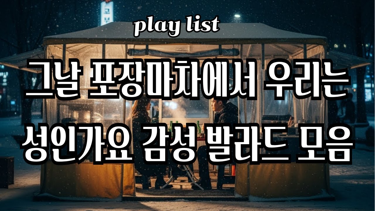 눈 오는 밤, 포장마차에서 조용히 흐르는 사랑 노래｜여자 성인가요 발라드 플리