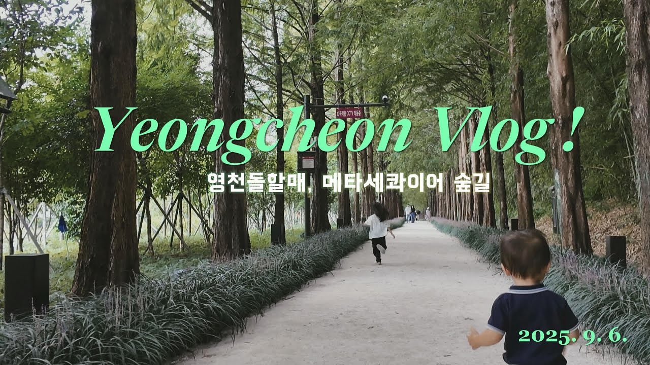 대구남매 영천 당일치기 브이로그(8살&23개월아기, 영천돌할매, 우로지생태공원, 메타세콰이어 숲길)