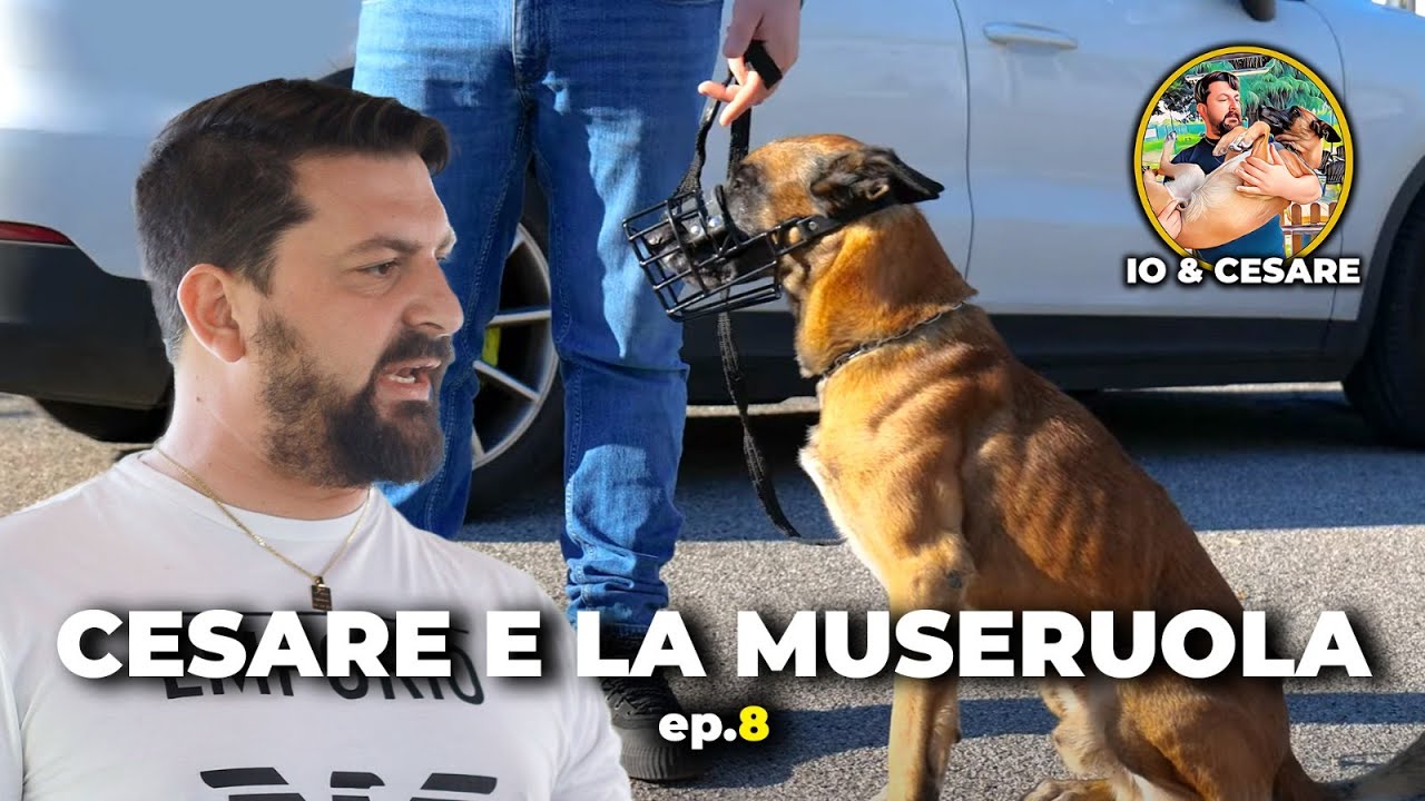 Cesare e la museruola | IO & CESARE_S1 | E8