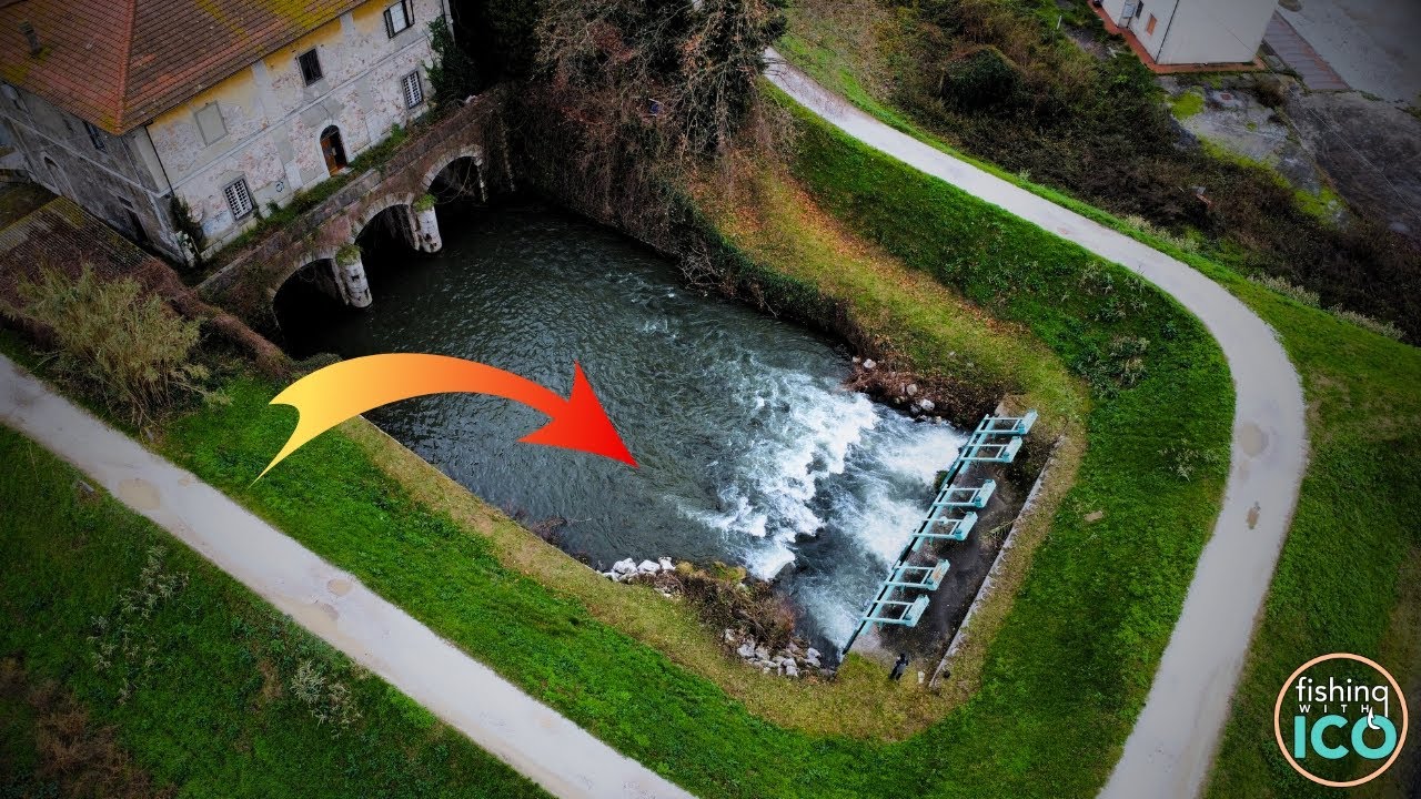 BFS FISHING in CANALE alla ricerca del SIGNOR CAVEDANO con un METEO AVVERSO 🌧️🌩️ (4K)