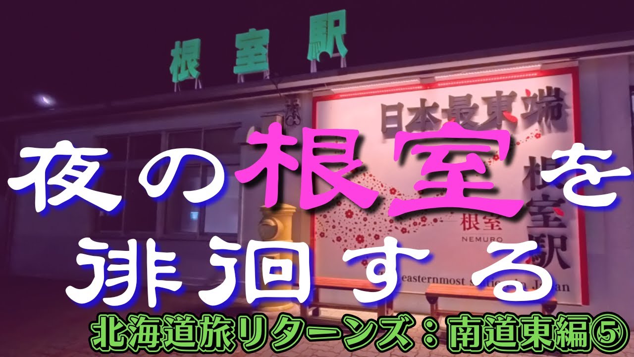 【北海道旅リターンズ 南道東編⑤】夜の徘徊シリーズ第2弾 『夜の根室を徘徊する』 日本最東端の街 21時の根室の繁華街は一体どんな状況なのか？ 市役所で食べる根室ソウルフード