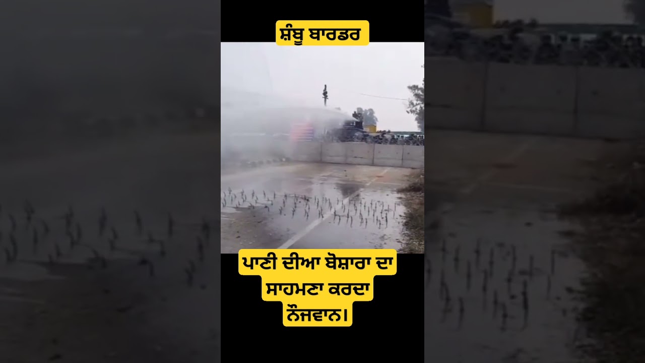 #shambhu border #kisanandolan #kisan #msp #delhi #border #shorts #shortsfeed #punjab #viral #live