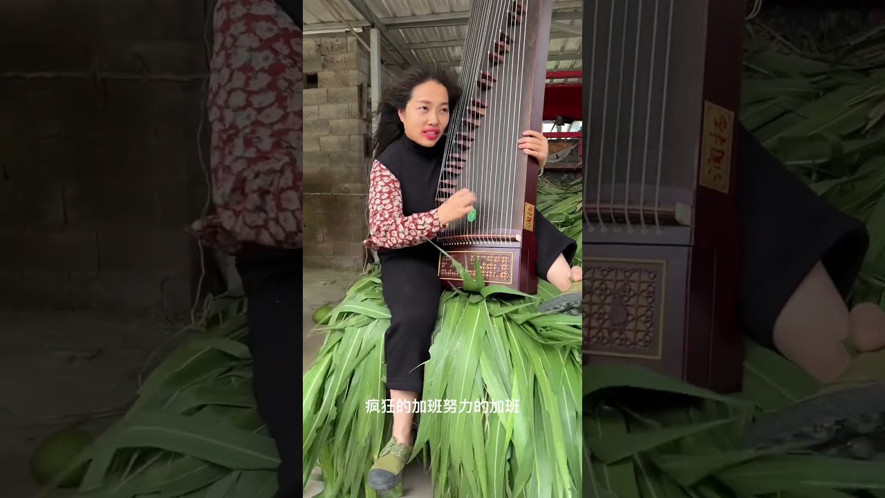 Rural woman playing Guzheng #funny #music