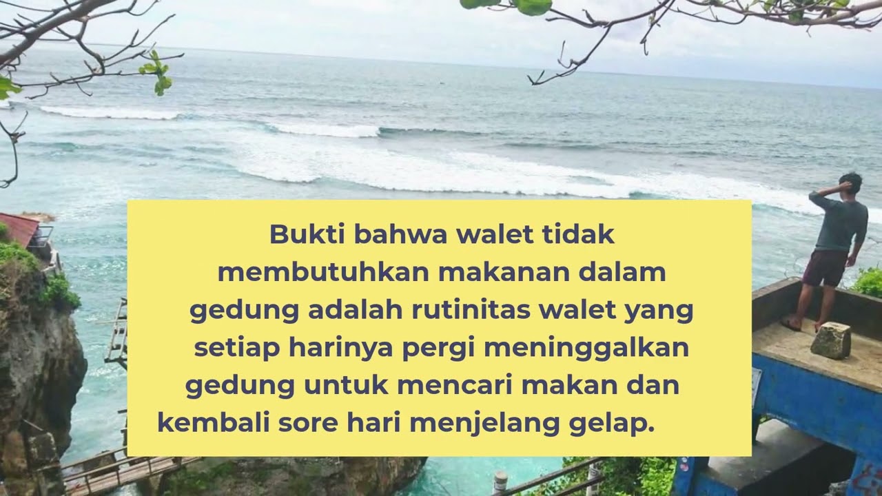 4 HAL HARUS DI PERHATIKAN AGAR POPULASI MENINGKAT