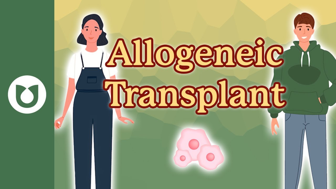 What is an allogeneic transplant? 
