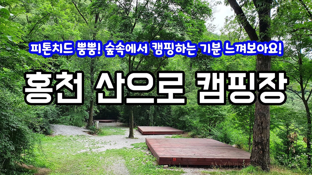 서울에서 1시간거리! 만평규모 대형 숲속캠핑장! 피톤치드 한사발 하고오세요! 홍천 산으로캠핑장