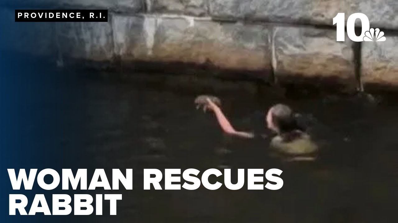 Heroic woman jumps into Providence River to save rabbit during WaterFire