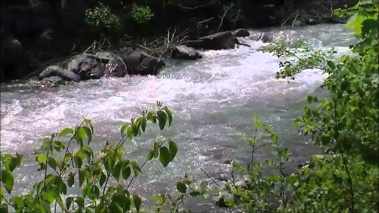 Kanner oppum (New malayalam devotional song from Sehion)