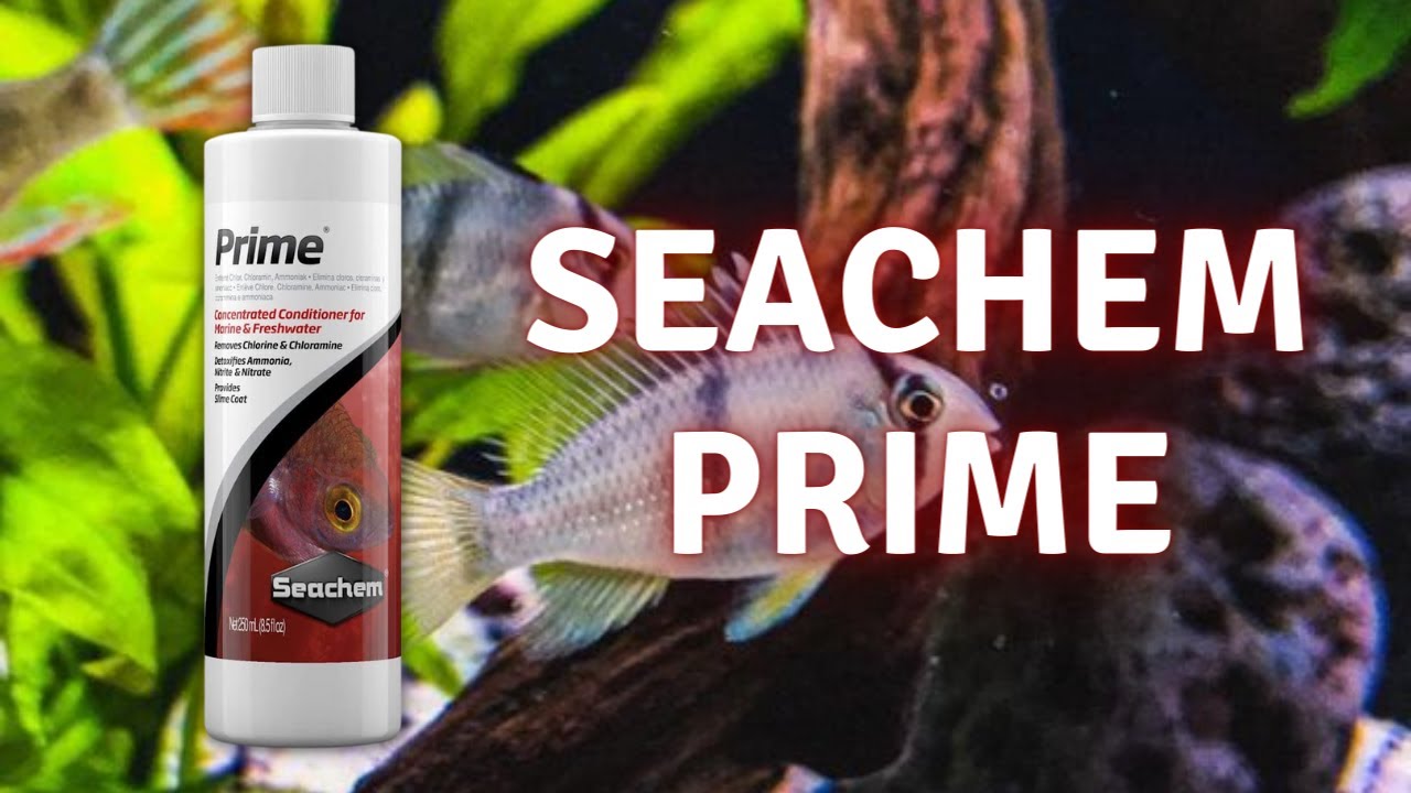 Que es? - Seachem Prime - Como Utilizarlo?