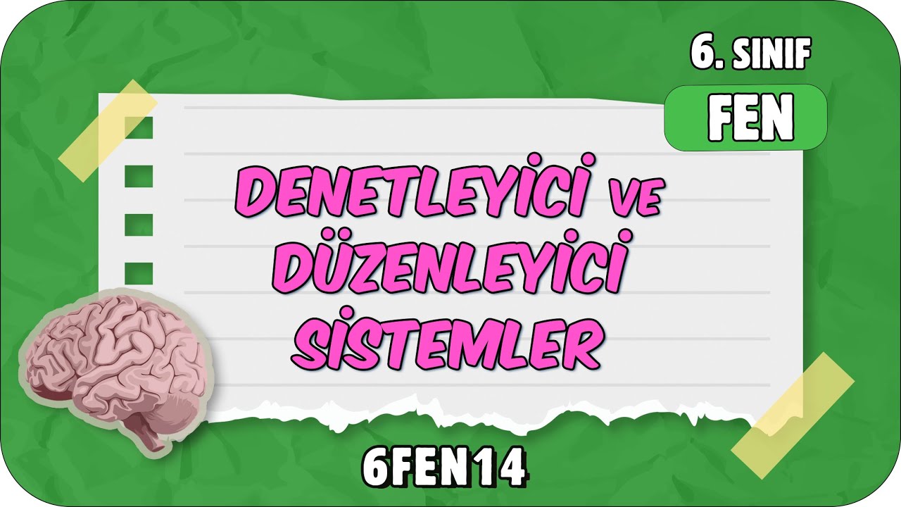 Denetleyici ve Düzenleyici Sistemler 📗 6. Sınıf Fen #2024