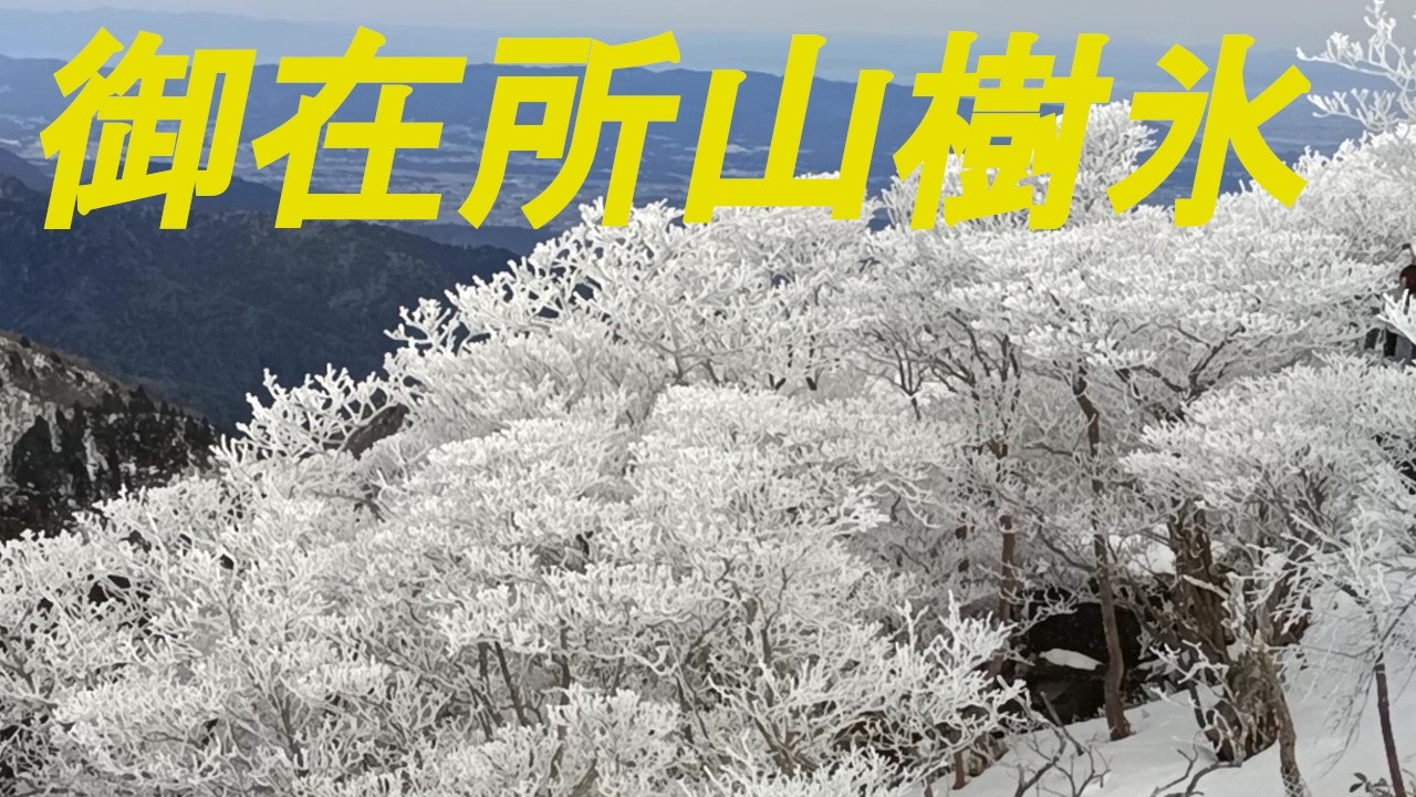 御在所山の樹氷を散策しました。