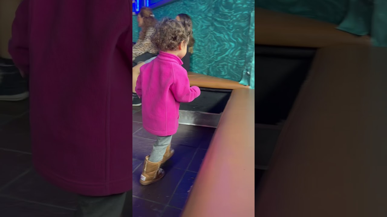 Cute Baby's Surprise Face Reactions - Priceless Moments #funny #kids #cute