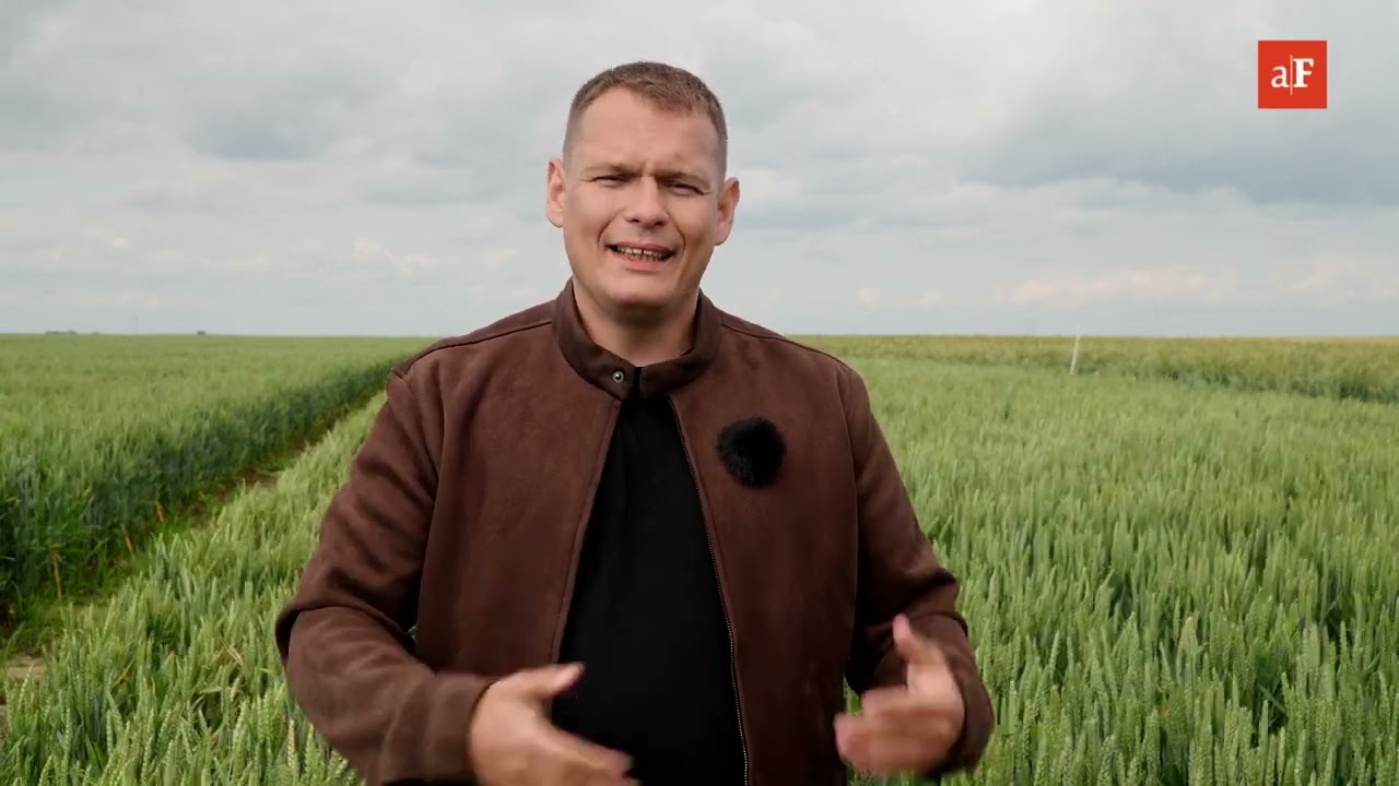 Jaki fungicyd na zabieg T3 wybrać?