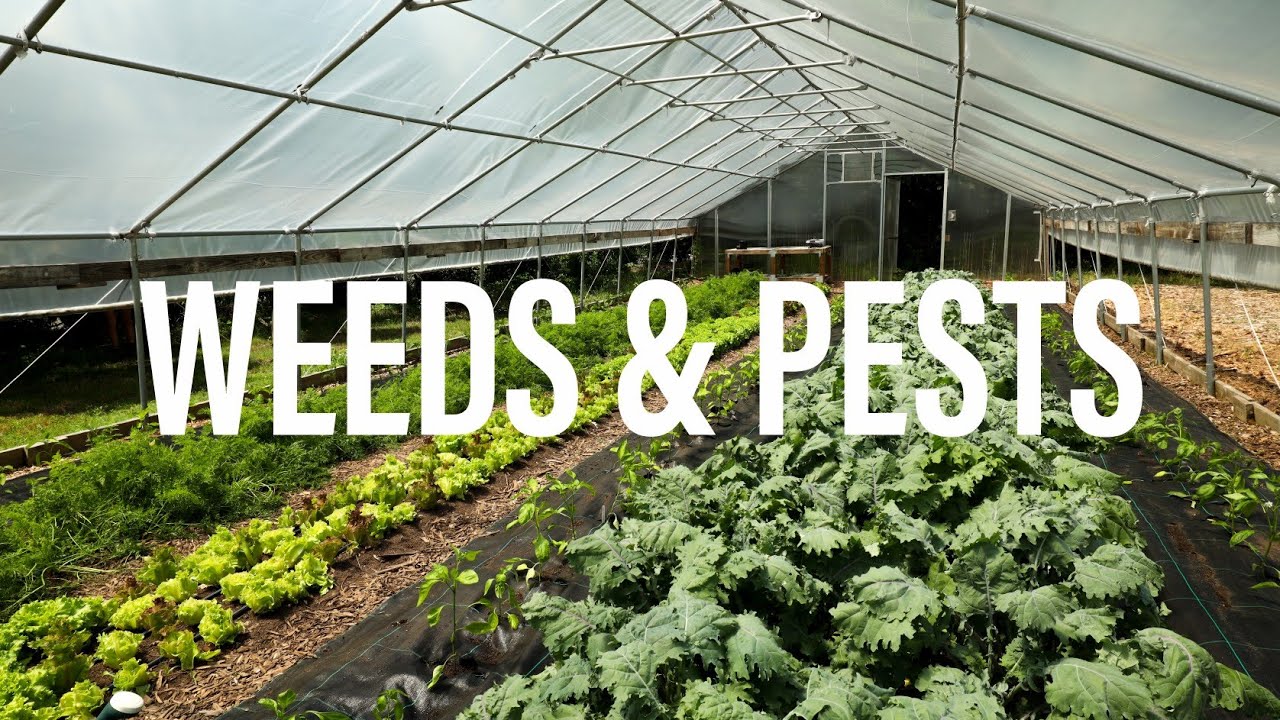 Tackling Farming's Biggest Challenges