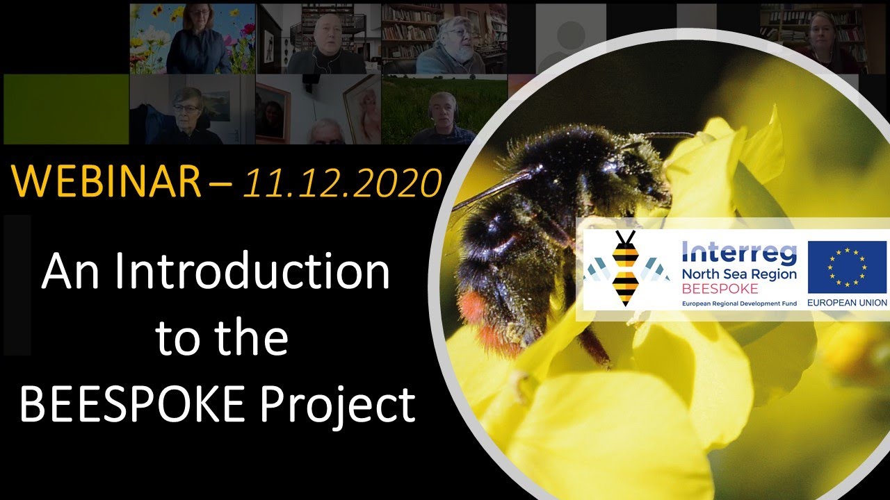 Webinar - Introduction to the BEESPOKE Project