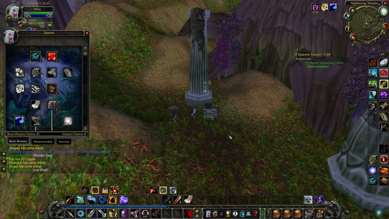 Raene's Cleansing (WOW classic quest)