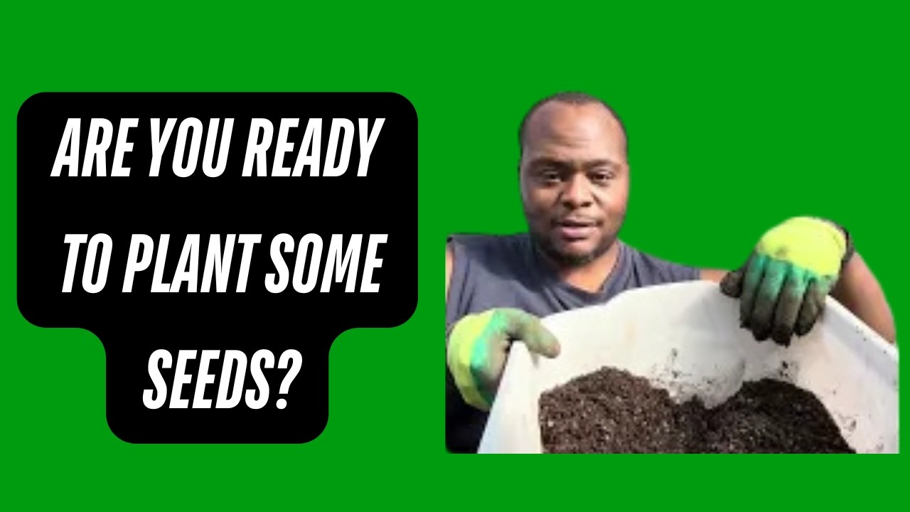 🌱Planting more seeds and Garden update 🪴