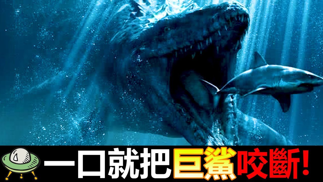 36000公斤的咬合力! 一口就把巨鯊咬斷! 咬力最強生物!
