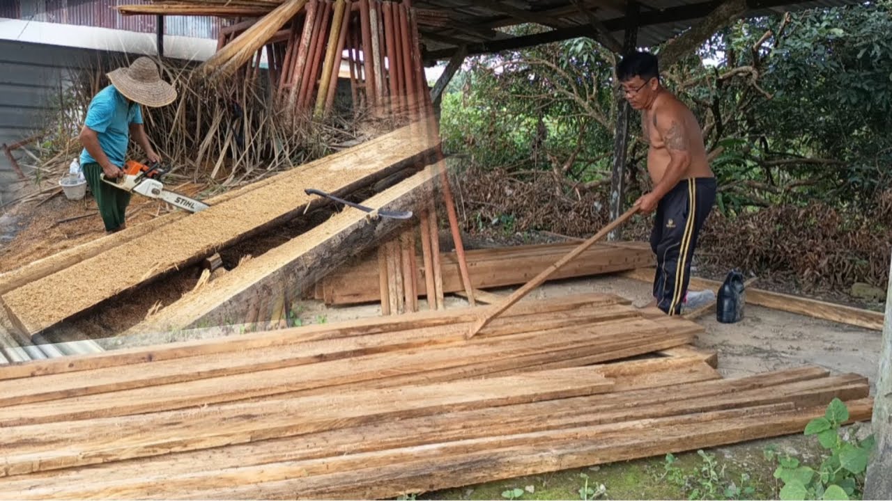 TUSUN KAYU SUDAH DIPOTONG