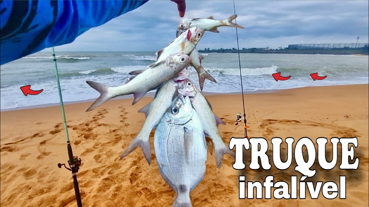 ONDE ARREMESSAR e COMO ENCONTRAR OS PEIXES na PESCA DE PRAIA!!! PESCANDO e COMENDO.