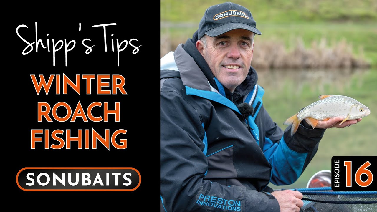 SHIPP'S TIPS - Episode 16 - Red Letter Roach Fishing!