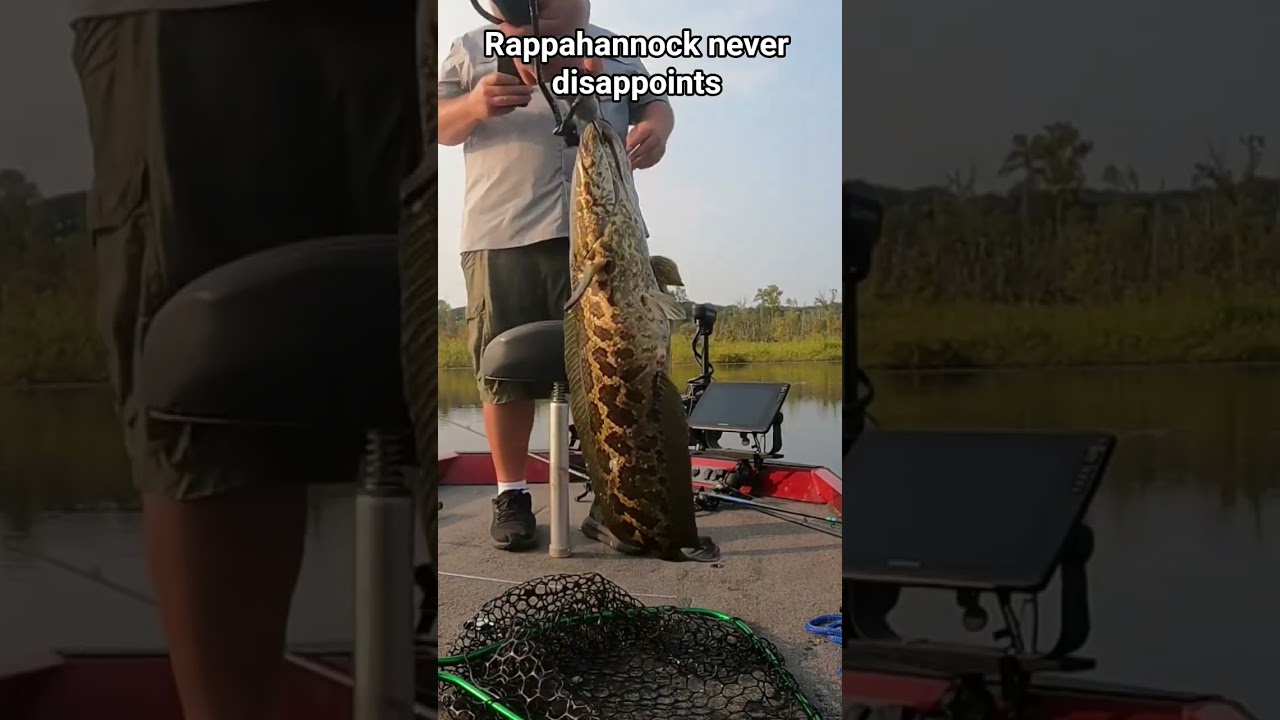 rappahannock river dont play