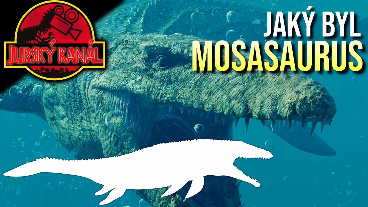 Mosasaurus: Mořský drak | Atlas Druhů #36 | Jurský Kanál