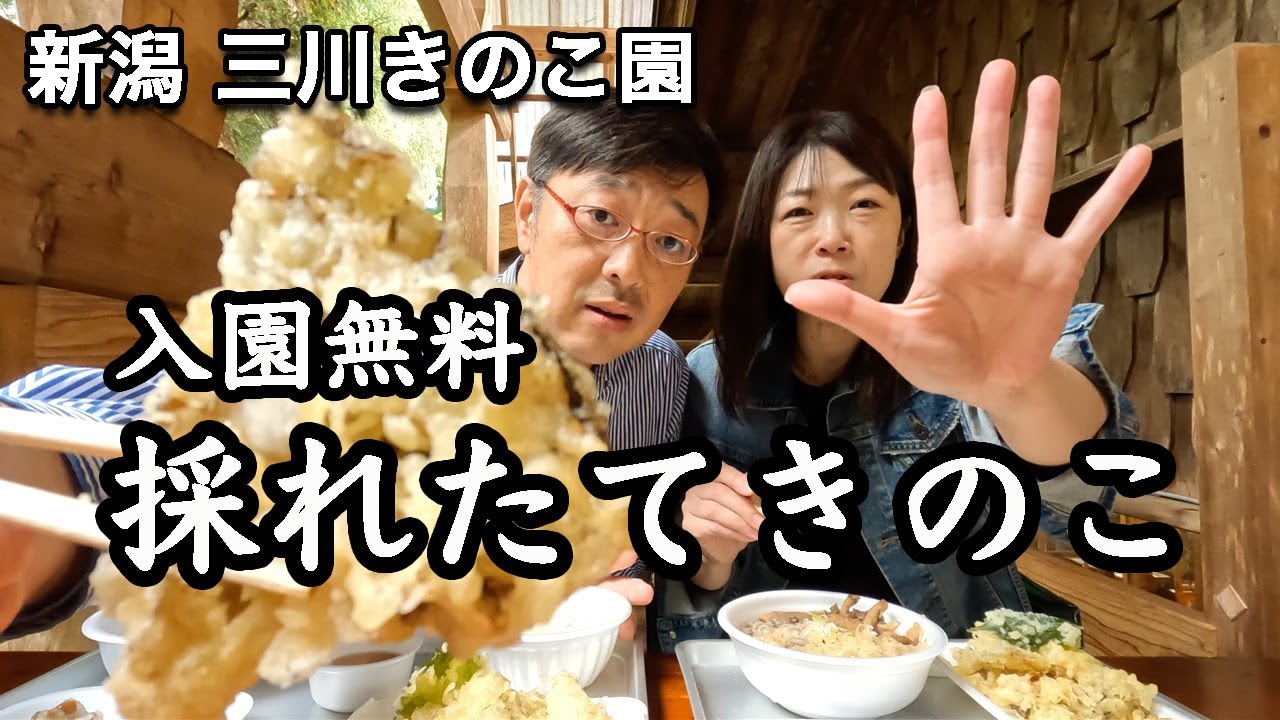 【新潟 / 三川きのこ園】手より大きなキノコが食べられる？ 秋の味覚を食べ尽くせ！　※11月30日まで