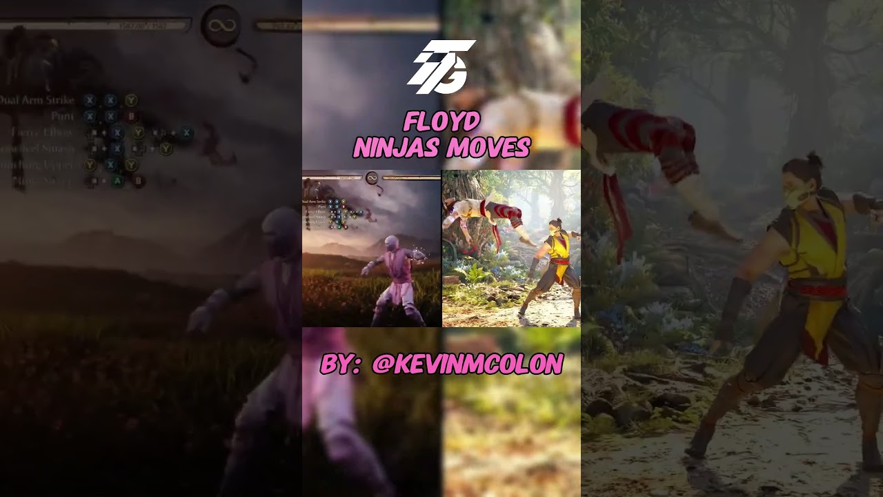 FLOYD is Shang Tsung, Noob Saibot, Scorpion, Sub-Zero, Reptile and Rain  | Mortal Kombat 1